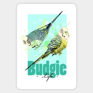 Tropical Aquarell Budgies Parakeets Parrot Life Magnet